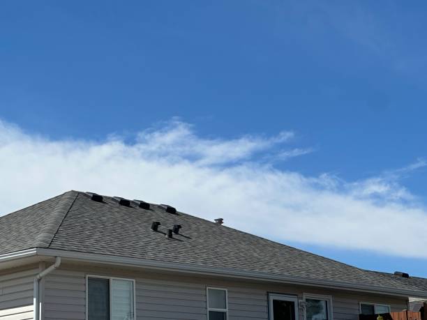 Best Asphalt Shingle Roofing  in Lovington, IL